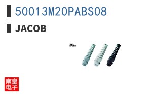 50013M20PABS08