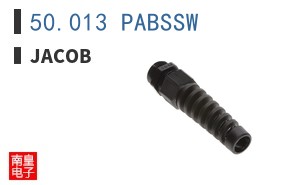 50.013 PABSSW