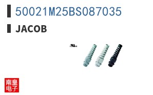 50021M25BS087035