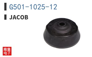 G501-1025-12