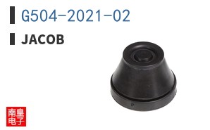 G504-2021-02