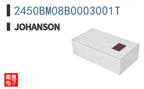2450BM08B0003001T