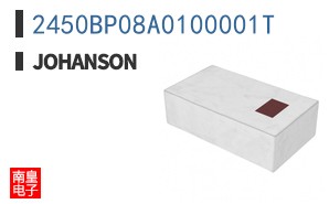 2450BP08A0100001T