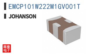 EMCP101W222M1GV001T