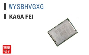 WYSBHVGXG