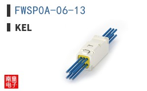 FWSP0A-06-13