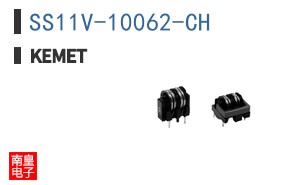 SS11V-10062-CH