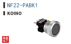 NF22-PABK1