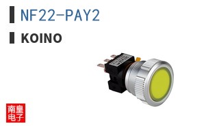 NF22-PAY2