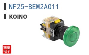 NF25-BEM2AG11