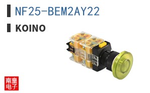 NF25-BEM2AY22