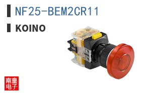 NF25-BEM2CR11