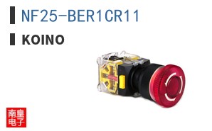 NF25-BER1CR11