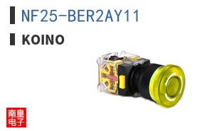 NF25-BER2AY11
