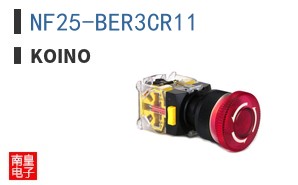NF25-BER3CR11