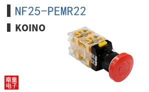 NF25-PEMR22