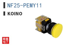NF25-PEMY11