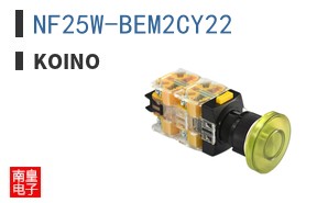 NF25W-BEM2CY22