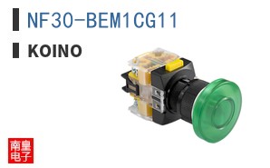 NF30-BEM1CG11
