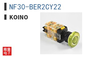 NF30-BER2CY22