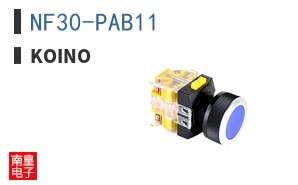 NF30-PAB11