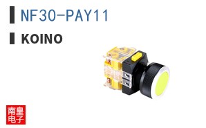 NF30-PAY11
