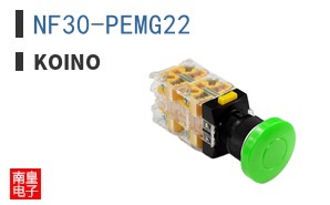 NF30-PEMG22