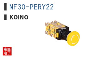 NF30-PERY22