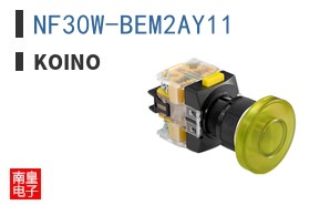 NF30W-BEM2AY11
