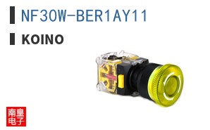 NF30W-BER1AY11