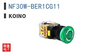NF30W-BER1CG11