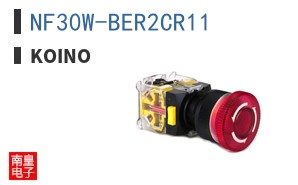 NF30W-BER2CR11