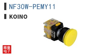 NF30W-PEMY11