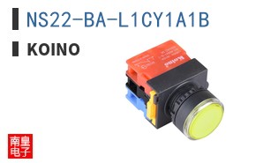 NS22-BA-L1CY1A1B