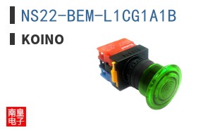 NS22-BEM-L1CG1A1B