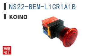 NS22-BEM-L1CR1A1B