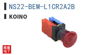 NS22-BEM-L1CR2A2B