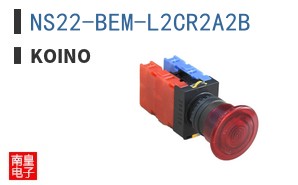 NS22-BEM-L2CR2A2B