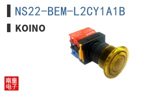 NS22-BEM-L2CY1A1B