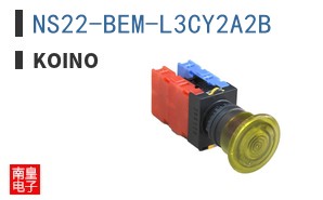 NS22-BEM-L3CY2A2B