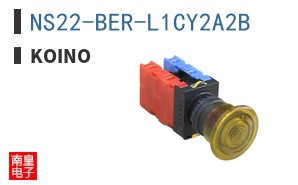 NS22-BER-L1CY2A2B