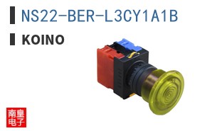 NS22-BER-L3CY1A1B