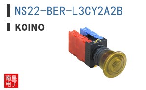 NS22-BER-L3CY2A2B