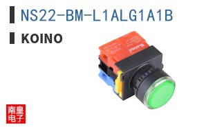 NS22-BM-L1ALG1A1B