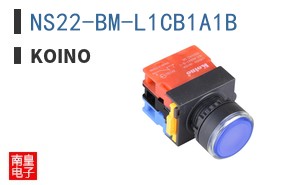 NS22-BM-L1CB1A1B
