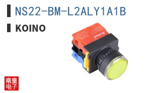 NS22-BM-L2ALY1A1B