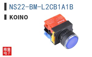 NS22-BM-L2CB1A1B