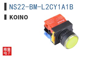 NS22-BM-L2CY1A1B