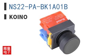 NS22-PA-BK1A01B