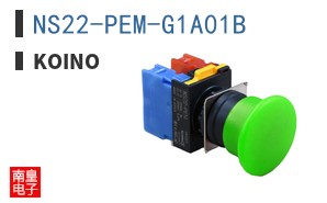 NS22-PEM-G1A01B